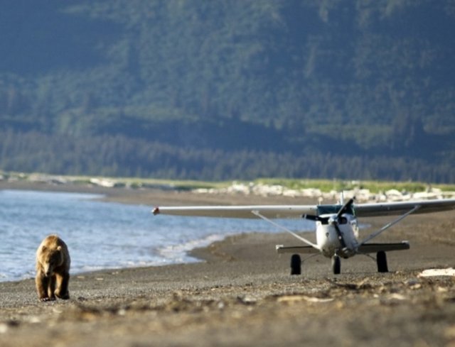 MUCİZE YAŞAMLARPek çok kişi son model yolcu uçaklarına binerken endişelenirken, kahraman bir pilot uçağı inanılmaz bir durumdayken uçurmayı başardı. -