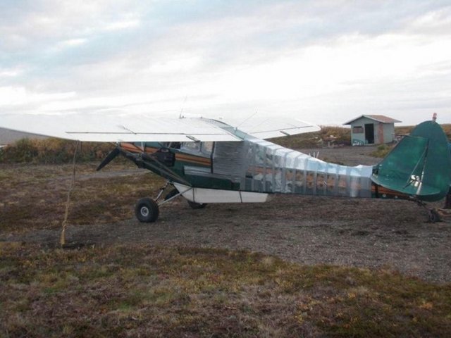 Önce bir ayı tarafından parçalanan, ardından bantlanan uçak pilotunu sağ salim eve kadar ulaştırdı. -