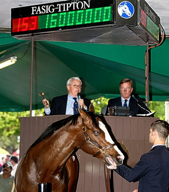 Green Monkey: Fiyatı: 16.000.000 $, "Green Monkey" dünyanın en pahalı atı.