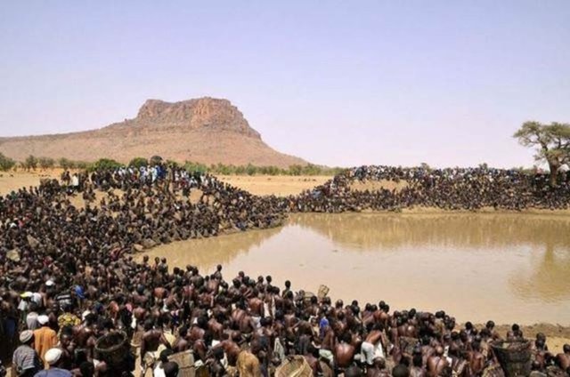 AFRİKA'DA BÖYLE AVLANIYORLAR! - Burası Afrika'nın Bandiagara bölgesi, aşırı sıcaklık suları buharlaştırmış, toprakları kuru bırakmış...