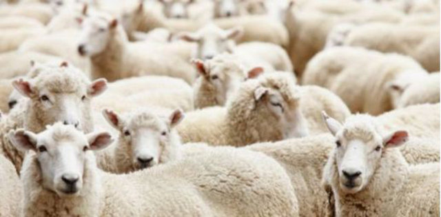 Onlara eziyet etmeyin!