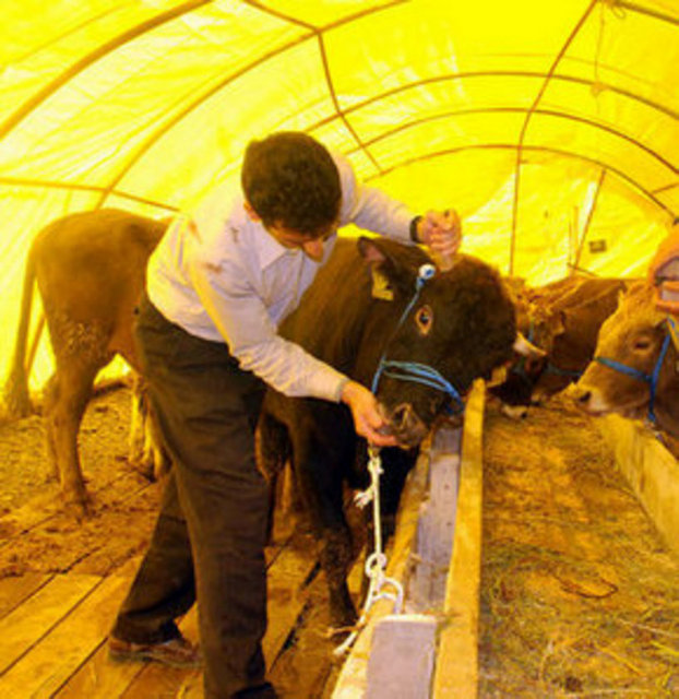 Bu bayram ibadetleri yerine getirirken buna aracılık eden hayvanlara saygı göstermeli ve onlara eziyet etmemeliyiz.
