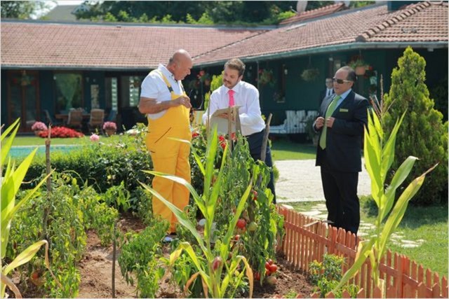 Senaryosunu Kaan Ertem'in kaleme aldığı filmin konusu şöyle: -  - "Mahmutpaşa Pasajı'nda girdikleri her işi batıran iki kafadar son çare olarak tefeciden borç alırlar ve tablet işine girerler.