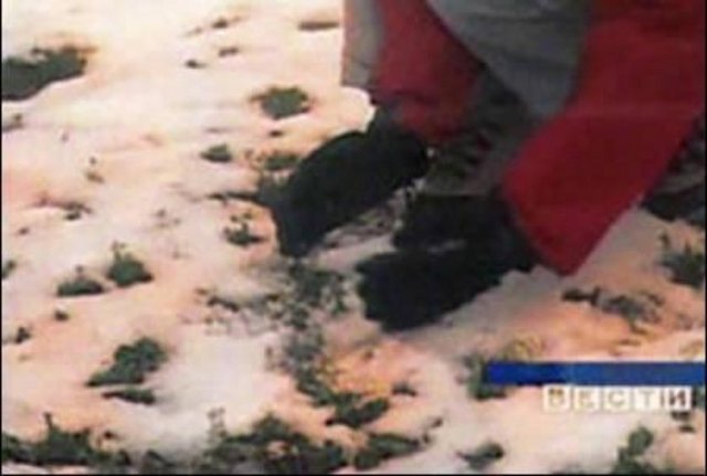 Renkli kar yağdı; Sibirya