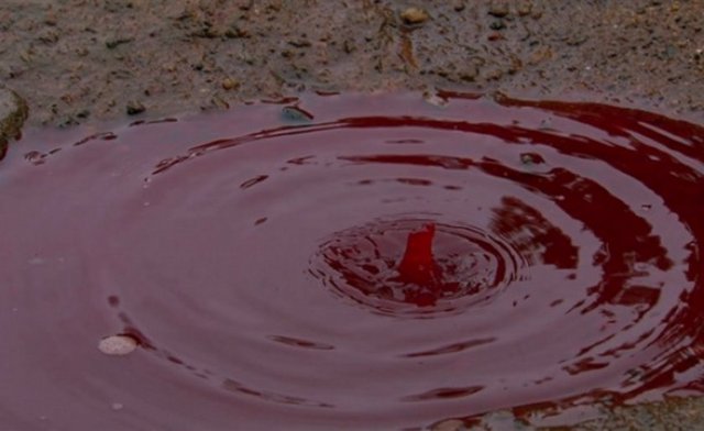 Köyün rahibi gökten yağan kanın Tanrı'nın bir işareti olduğunu, insanların günahlardan arındığını söyledi.