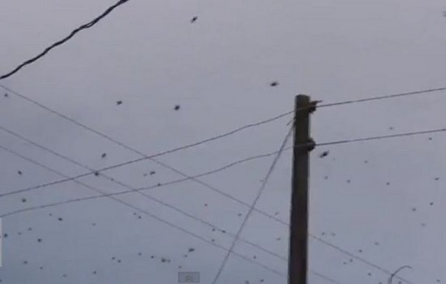 6 Nisan 2007′de Arjantin'in Salta kasabasına tatile giden Christian Oneto Gaona ve arkadaşları San Bernardo Dağları'na tırmandı.