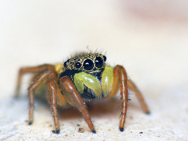 Christian elindeki kamerayla bu yağmuru görüntülemeyi başardı.