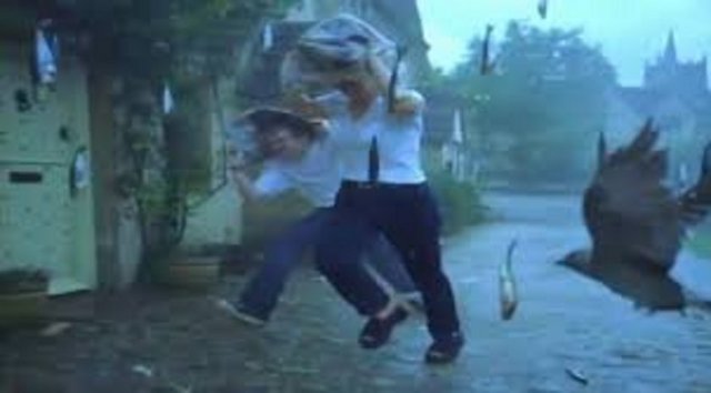 Kuşlar tarafından yere bırakıldığı sanılıyor.