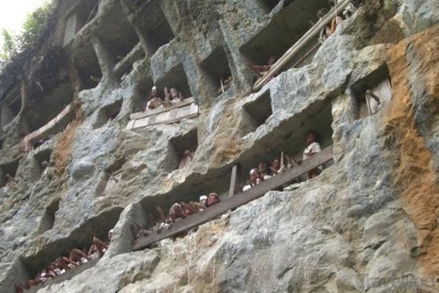 Tana Toraja / Endenozya : Dünyanın en karmaşık cenaze törenlerinin düzenlendiği yer. Birisi öldüğünde cenazesine bütün şehir katılırdı.