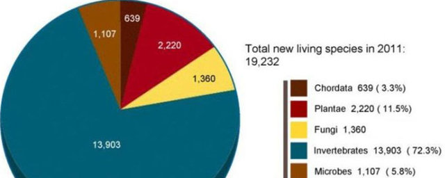 Sadece 2009 yılında 19,232 yeni canlı türü keşfedildi. Bir teoriye göre hala doğada bilim insanları tarafından keşfedilmeyi bekleyen 10 milyonun üzerinde canlı türü bulunuyor.
