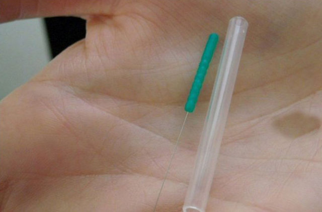 Japon bilim insanları sinekleri kullanarak sanal olarak acısız iğneyi yarattı.