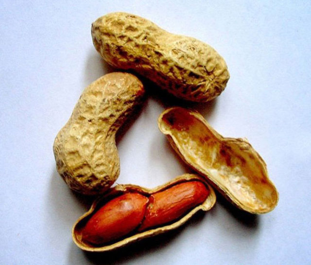 2007 yılında bir bilim insanı fıstıkların içinden alerjik maddeleri çıkartmak için bir method geliştirdi.