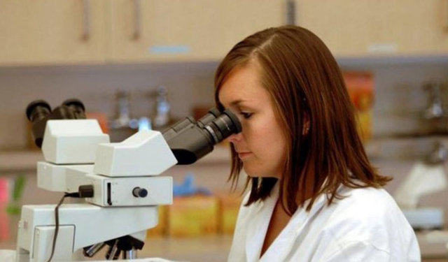 Cornell Universitesi'ndeki bilim insanları bir insanın kan hücresi boyutunda olan ve çalışan bir 'nano gitar' üretti.