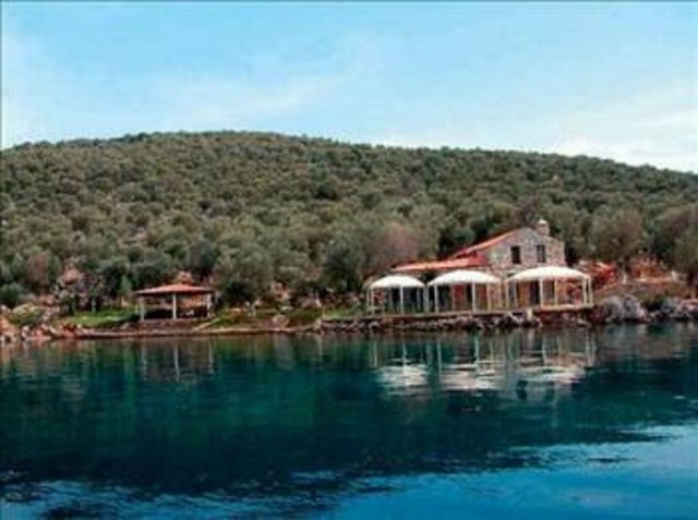 Ahmet Nazif Zorlu, ada sahibi olan işadamları arasında da bulunuyor. Uzan ailesine ait olan ve TMSF tarafından 2005 yılında satışa çıkarılan Zeytin Adası'nı 15 milyon 250 bin TL'ye satın almıştı. Nazif Zorlu'nun kızı Şule Zorlu ise Tekfen Holding'in patronu Feyyaz Berker'den yaklaşık üç yıl önce 10 milyon dolara satın aldığı Bebek'teki yalısında oturuyor. -