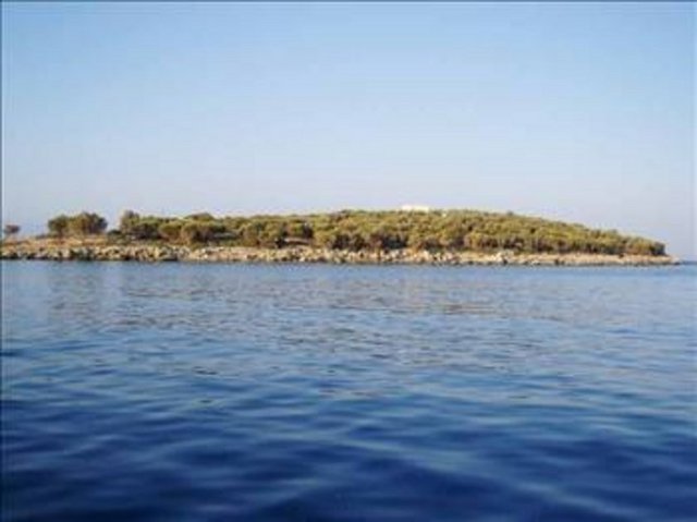 Kıstak Adası'nın da sahibi olan Tara, kızı Leyla'ya doğum günü hediyesi olarak 4 milyon dolara bu adayı almıştı. Eşek veya Orak Adası olarak bilinen Kıstak Adası, 56 bin metrekare büyüklüğe sahip. Şarık Tara'nın oğlu Sinan Tara ise Arnavutköy-Bebek arasındaki Kortel Korusu'ndaki villasında yaşıyor. Sinan Tara'nın Bolu-Gövem'de arsası bulunuyor. -