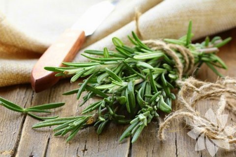 Kekik: Uçucu yağının mide asidi ve safra artırıcı etkisi bulunmaktadır. Bu etkisiyle sindirimi kolaylaştırır.