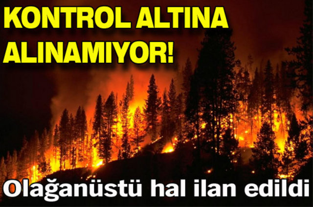 Avustralya, olağanüstü hal ilan edilmesine neden olan orman yangınlarını kontrol altına almakta zorlanıyor. Yetkililer, yangınların yayılma güzergahı üzerinde bulunanların evlerini tahliye etmesi çağrısında bulundu.