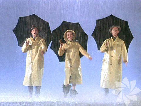 Sing in Rain (1956) Film kendi içinde sessiz sinema dönemindeki değişen oyunculuk kavramına ve sessiz sinemadan sesli sinemaya geçiş dönemini müzikal olarak ele alır. Gelmiş geçmiş en iyi müzikaller arasında yer alır.