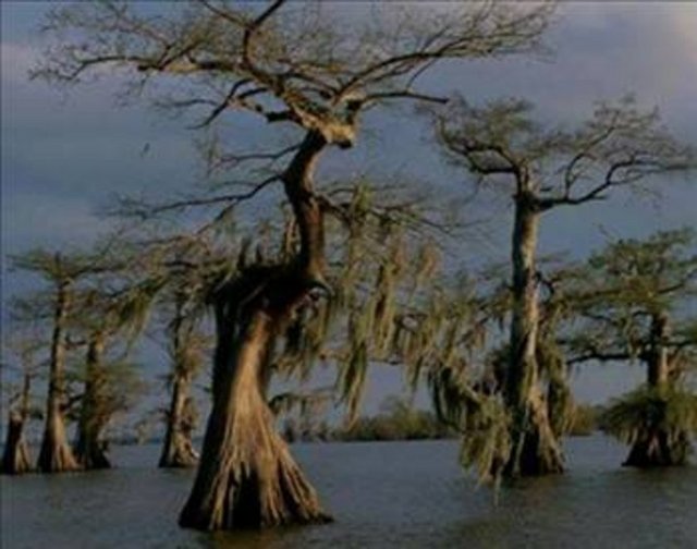 Easter Island Şili: Merhamet diler gibi gökyüzüne bakan, taştan oyulmuş dev heykelleri ile ünlü bir ada burası. Buraya kadar herşey normal. Adada heykeltraşlık sanatından anlayan kimse yokken; 20 metre yükselikte ve 90 ton ağırlığında heykelleri kimin yaptığının bilinmemesi işi ilginçleştiriyor.