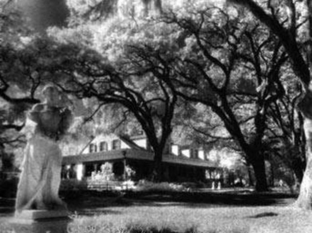 Myrtles Plantasyonu St. Francisville, Louisiana'da bulunan bu ev "Amerika'nın en lanetli evi" olarak da bilinir. Canlanan yağlıboya tabloları, kanlı el izi ve kendi kendine açılıp-kapanan kapıları fenomen lanetleri arasında