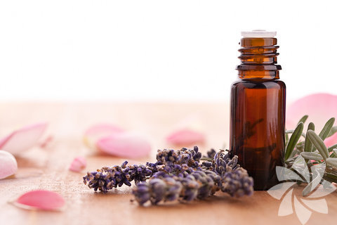 Parfümlerin ana maddesi esanslar o parfümün üzerinizde bırakacağı hissiyatı da belirliyor. 