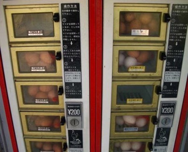 Yumurta Otomat Makinası