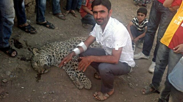 Yaralanan Kasım Kaplan, köye gelen sağlık ekipleri tarafından Çınar Devlet Hastanesine götürüldü.