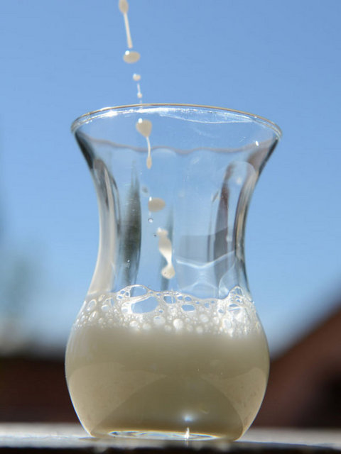 330 dönümlük alana yaklaşık 3 milyon lira yatırımla kurulan ve 250 civarında eşeğin bulunduğu çiftlik, şu ana kadar kurulan en büyük eşek çiftliği oldu.