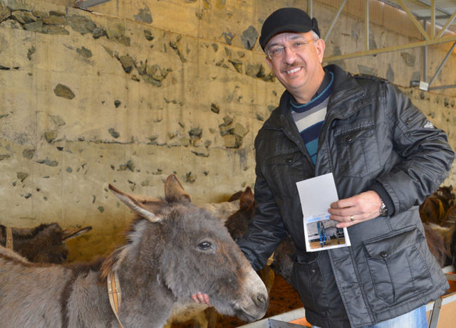 Evcil eşeklerin etinin yenilmesinin Hz. Muhammed tarafından haram olduğunun bildirildiğini kaydeden Prof. Dr. Türcan, "Fıkıhta bir kural vardır, hayvanların sütleri, etlerine tabidir. Etlerinin hükmü ne ise sütlerinin hükmü de odur.