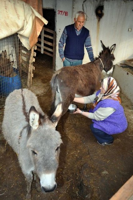 Çeşitli uzmanlarca diyetlerde kullanılması tavsiye edilmektedir. Vitamin açısından da eşek sütü A, B2, C, E vitamin içerir."
