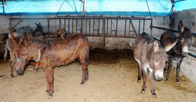 'BİLİMSELLİĞİ YOK'