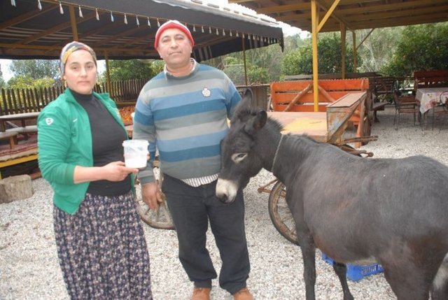 "Bir doktor hastasına 'Sen mutlaka eşek sütü içmelisin, hastalığın ancak ona bağlıdır' derse eşek sütü içebilir. Eşek sütünün alternatifleri varsa, ilaçla tedavisi varsa içilmesi caiz olmaz. Ben, eşek sütünü de zaruret olarak görmüyorum. Ancak tedavi bakımından kullanılması zorunlu ise o zaman eşek sütü içilebilir. Aksi halde haramdır."