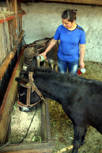 Fakat eşek sütüyle ilgili üst düzey bir çalışma yok. Yapılmış ciddi bir araştırma yok. Bunu yapanların çoğu yurt dışından kulaktan dolma bilgilerle bu işi gerçekleştiriyor.