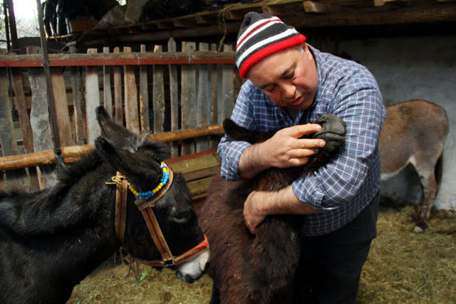 "Keçi sütünün anne sütüne yakınlığı biliniyor. Çünkü bu da çok eskilerde antik çağda kullanılmış. Bağışıklık sistemini güçlendirdiğine dair günümüze kadar gelen bilgiler var.