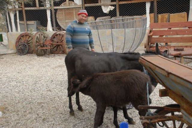 ZARURİ HALLERDE İÇİLEBİLİR -