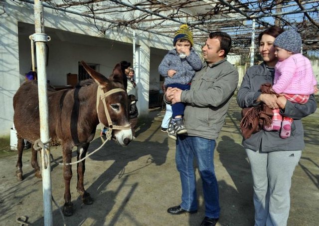 Eşek paraziti var mı yok mu bilinmeli. Yeni doğan bebekler için fizyolojik ve besinsel gereksinimlerine uygun dengeli amino asit dağılımı ile ideal bir protein kaynağı. Yağ oranı düşük olduğu için gereksiz kilo alımını engeller.