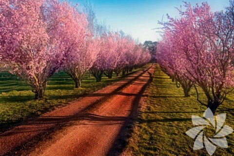 Fotoğraf: Peter Daalder