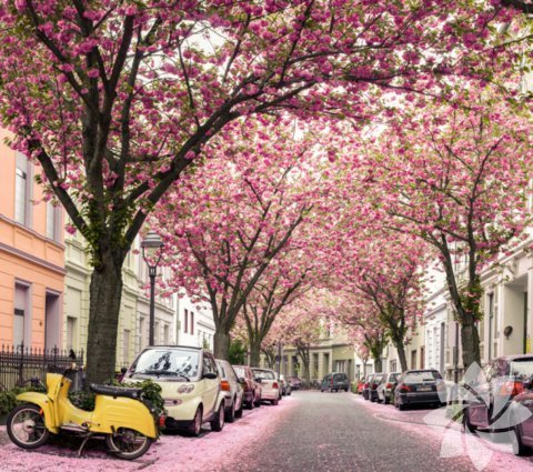 Fotoğraf: Marcel Bednarz