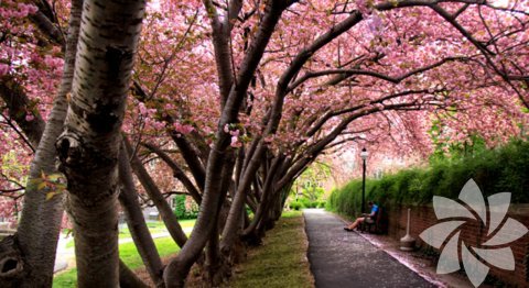 Fotoğraf: Gulsah Boye