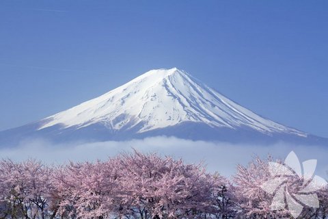 Fotoğraf: Hiroki Morita