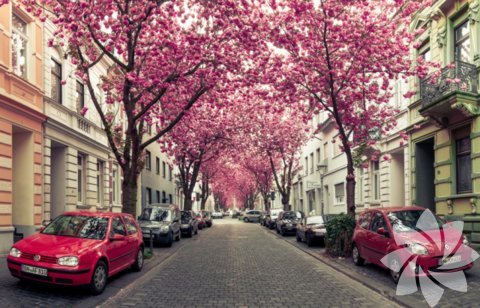 Fotoğraf: Marcel Bednarz