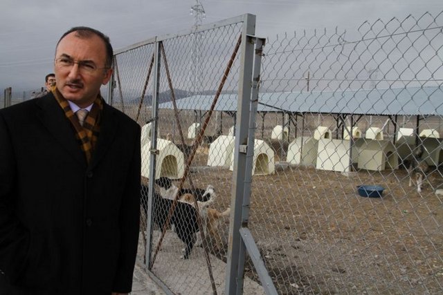 AK Parti Ardahan Belediye Başkan Adayı-Faruk Köksoy