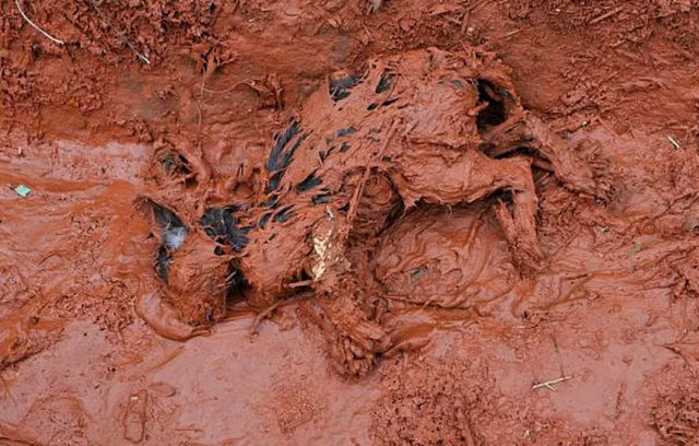 2010 Macaristan Faciası Macaristan 10 Ölü 2010 yılında bir alimünyum fabrikasında meydana gelen patlama ile zehirli atıklar çevreye saçılmış, İnsanlar ve hayvanlar asitli atık yüzünden yanmıştı