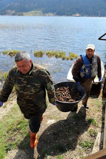Oradan ürettiğimiz yavru alabalıkları tekrar Göle bırakacağız. Ayrıca gölde amatör olta balıkçılığı devam ediyor. Son zamanlarda Türkiye'nin her tarafından balık avcıları ve meraklıları gölümüze geliyor. Önümüzdeki yıl da özel iskeleler yapacağız" dedi