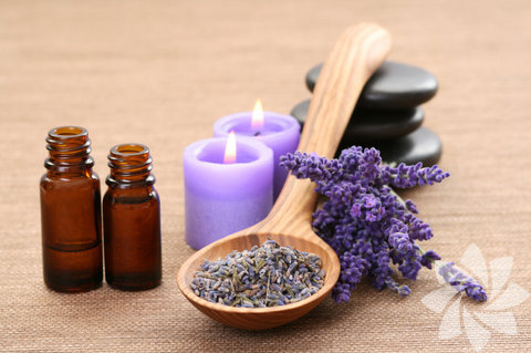 Lavantalı Süt Toniği: -  - Hassas, kurumuş, çatlamış ciltler için yatıştırıcı ve iyileştirici bir toniktir. - İki yemek kaşığı kuru ya da bir yemek kaşığı taze kopartılmış lavantayı ve 2/3 fincan kaynamış sütü bir kaba alın. Sütle beraber lavantaları da kaynatın ve bir kavanoza aktarın. Ardından ağzını kapatıp soğuyana kadar bekletin. İnce bir kumaş yardımıyla süzün ve buzdolabında steril bir şişede muhafaza edin. Haftalık yapıp her gece kullanırsanız hem bayatlamasını önlemiş olursunuz hem de lavantanın özünü kaybetmezsiniz… - 