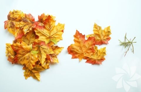 İhtiyacınız olan; Sonbahar yaprakları, Kase, Balon, Tutkal... Bahçenizde ya da yolda gördüğünüz sonbahar yapraklarını toplayın. -  - 