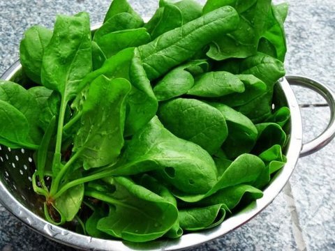 Ispanak - Yüksek miktarda magnezyum içerdiği için stres hormonu olan kortizolün dengelenmesine ve kişinin ruhsal olarak kendini iyi hissetmesine yardımcı oluyor. Günde bir tabak ıspanak tüketilmesi, günlük magnezyum ihtiyacının yaklaşık yarısını karşılıyor.