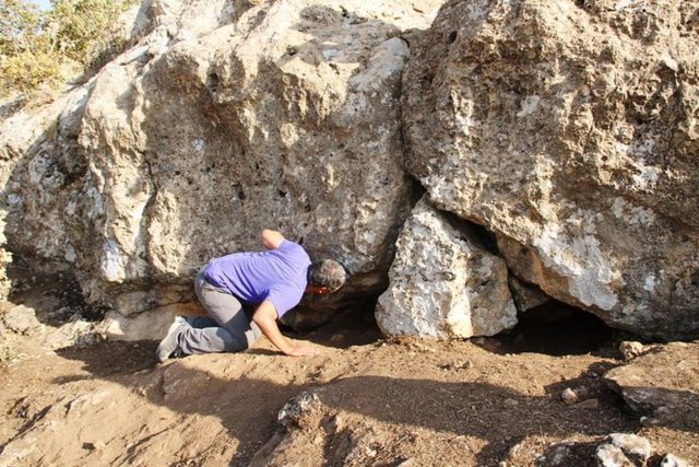 Doğa Koruma Milli Parklar Diyarbakır Şube Müdürlüğü ile Doğayı ve Çevreyi Koruma Derneği (DOĞADER) üyesi bir grup leoparın öldürüldüğü yerde inceleme yapmıştı. Jandarma ise alandaki mağaralarda, arama tarama faaliyeti gerçekleştirdi.