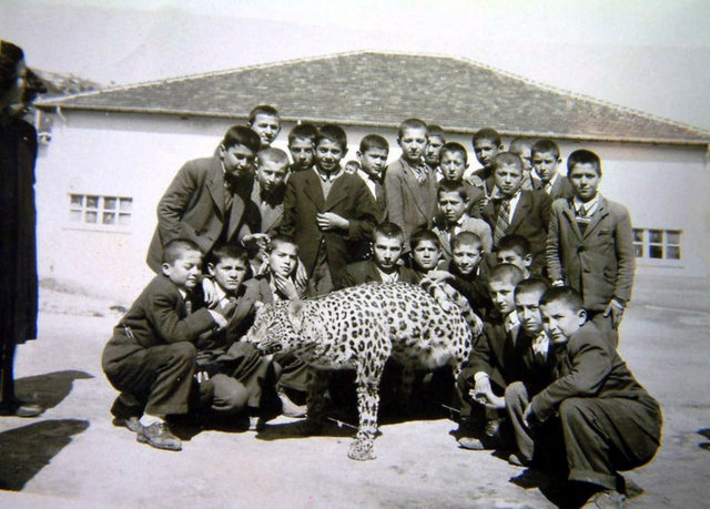 Diyarbakır'da bir çobanın leopar öldürmesinin ardından tartışmalar başlarken, 59 yıl önce benzer bir olayı Denizli'de de yaşandığı kaydedildi.