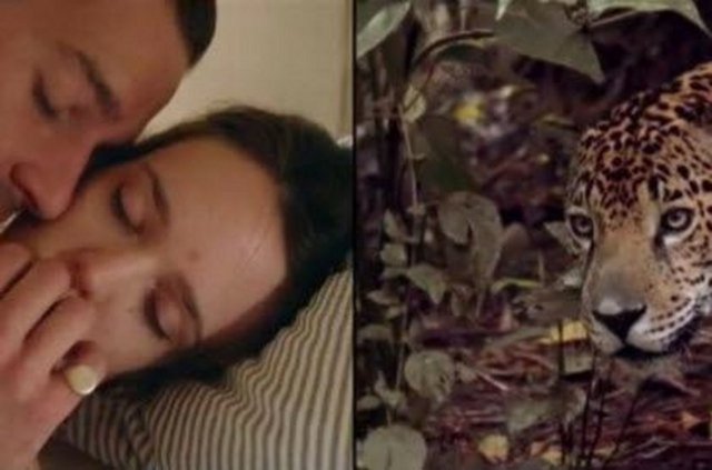 Ayrıca "Nymphomaniac"ın video paylaşım sitesi Youtube'da yayınlanan ve 57 saniye süren açık sahneleri dün sabah aniden yayından kaldırıldı.